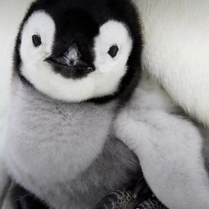 Meet your Posher, Kerrie